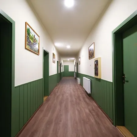 Bed and Breakfast Kisfaludy Vendeghaz -suemeg- 3*